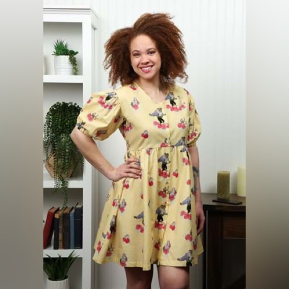 Disney Cakeworthy dress Beauty and The Beast size 2X - Picture 2 of 13